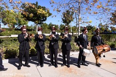 Baraat music band. Baraat music band.