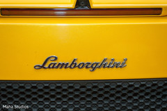 Lamborghini lamborghini,indian wedding transportation,wedding car
