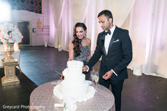 Fairytale indian wedding cake. indian bride,indian groom,indian wedding reception,indian wedding cakes