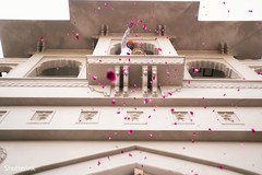 Indian groom throwing rose petals off the window Indian groom throwing rose petals off the window