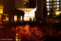 Indian wedding night photo shoot. indian groom,indian bride,reception fashion,portrait