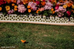 Indian wedding photography. indian wedding program,indian wedding ceremony,indian wedding photography