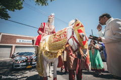 Indian groom's baraat Indian groom's baraat