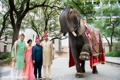 Indian wedding baraat celebration elephant Indian wedding baraat celebration elephant