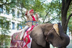 Amazing groom's baraat on elephant Amazing groom's baraat on elephant