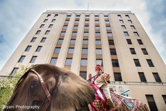 Amazing photo shoot of groom riding an elephant Amazing photo shoot of groom riding an elephant
