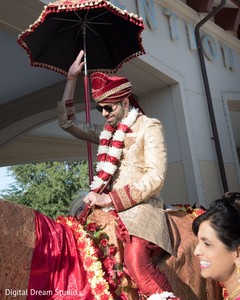 Indian groom's baraat Indian groom's baraat