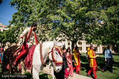 Indian groom on white horse for Baraat Indian groom on white horse for Baraat