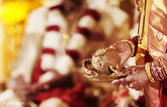 Indian wedding coconut indian wedding ceremony,indian wedding ceremony details