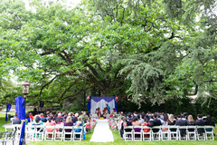 Magical garden Indian wedding ceremony. planning and design,indian wedding ceremony