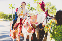 Hindu marriage procession. baraat,baraat horse,pre-wedding traditions,indian groom