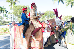 Indian groom with his sarbala. baraat,baraat horse,pre-wedding traditions,indian groom,sarbala