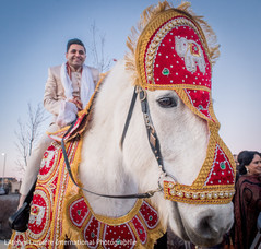 Indian groom on white baraat horse indian groom fashion,baraat,indian wedding baraat,baraat horse