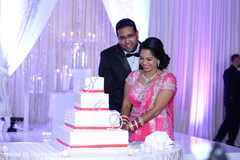 Adorable indian couple cutting the cake indian wedding reception,indian wedding cake,indian wedding cake design,indian bride and groom