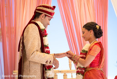 Indian bride putting wedding ring on groom Indian bride putting wedding ring on groom