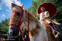 baraat, baraat horse, Baraat procession, baraat,baraat horse,baraat procession,indian groom