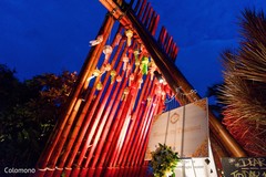 Lovely pre-wedding festivities decor. planning & design,pre-wedding celebrations,floral and decor