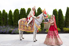 Indian newlyweds with baraat horse indian groom,baraat,baraat horse