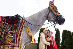Lovely red and gold ghodi ghodi,baraat,indian couple