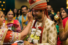 Indian groom arrival. indian groom,baraat,indian wedding photography