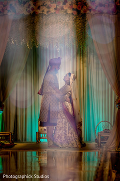 Indian lovebirds. Indian lovebirds.
