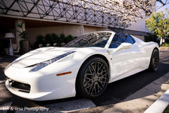 Indian wedding getaway sports car indian wedding,transportation,indian wedding sport car
