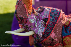 Decorative Indian wedding elephant. indian wedding reception,floral and decor