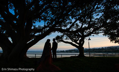 Stunning outdoor indian couple portrait indian wedding photo,indian couple portrait