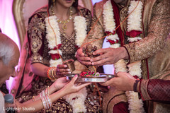 Dream Indian wedding ceremony photography. indian wedding ceremony,floral and decor,indian bride and groom