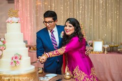 Sweet indian newlyweds cutting the cake indian wedding reception,indian bride and groom,indian wedding cake topper,indian wedding cake