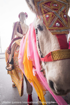 Traditional indian groom's baraat indian wedding baraat,baraat horse,indian groom