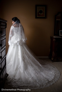 Astonishing indian bride Astonishing indian bride