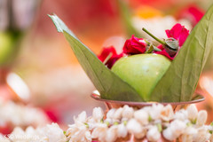 Indian wedding ceremony items indian wedding ceremony,indian wedding ceremony photography