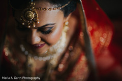 Fine art Indian bridal portrait Fine art Indian bridal portrait