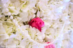 Beautiful white and bright pink flower backdrop Beautiful white and bright pink flower backdrop