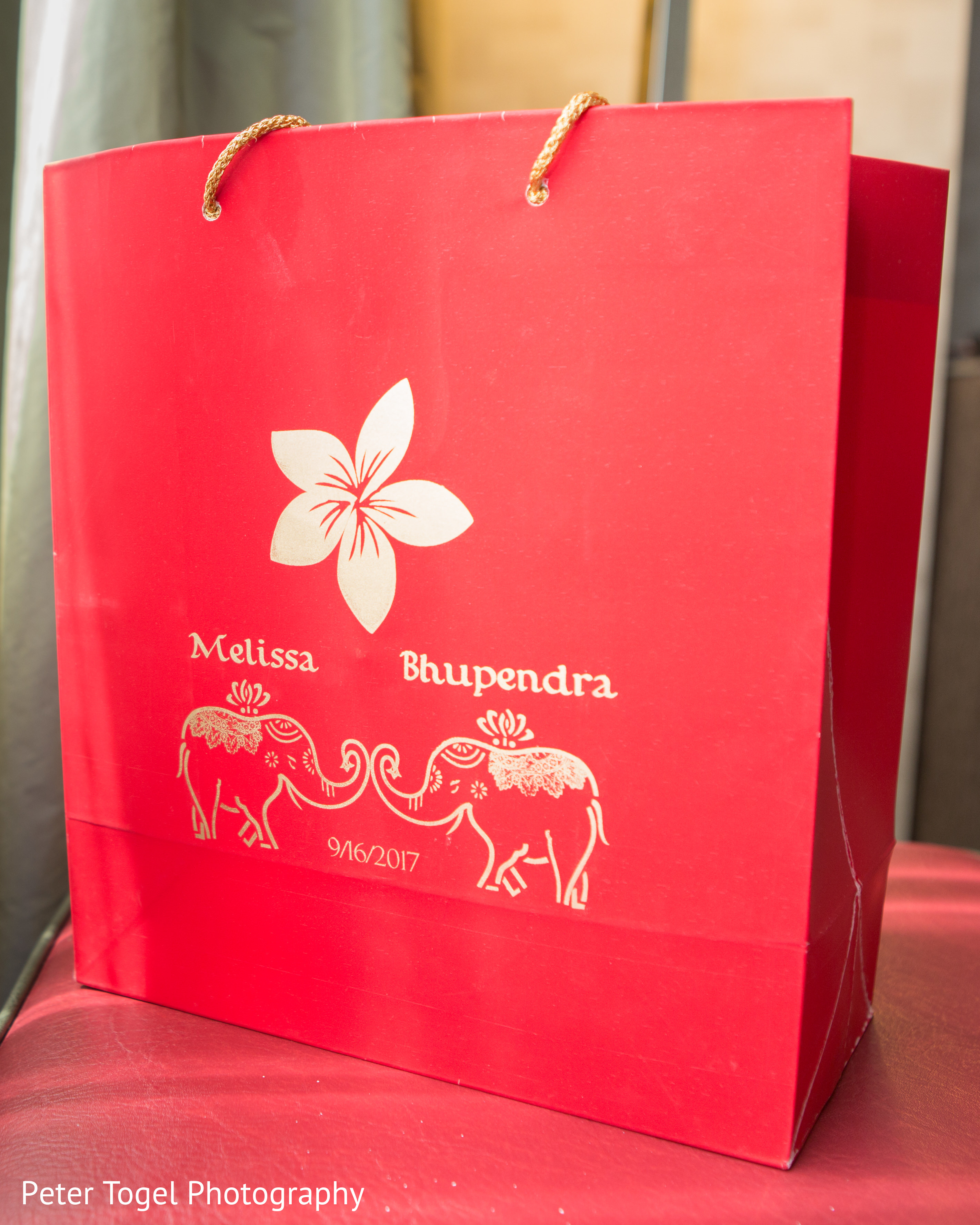 Personalized Indian wedding gift bag. Photo 133591