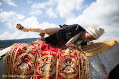 Indian groom with baraat horse Indian groom with baraat horse