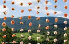 Sweet flower backdrop Sweet flower backdrop