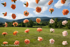 White and peach carnation backdrop White and peach carnation backdrop