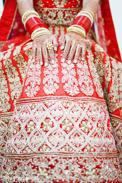 Perfect indian bride's mehndi art Perfect indian bride's mehndi art