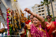 Baraat at wedding resort baraat,horse,pre wedding celebrations