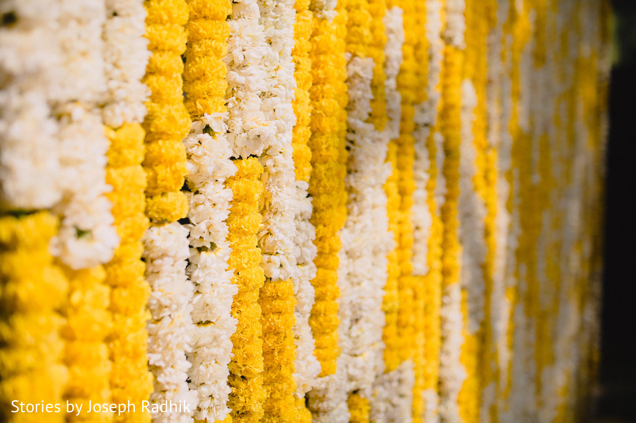 Amazing Indian wedding floral backdrop. Photo 138723