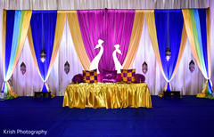 Peacock themed garba stage. Peacock themed garba stage.