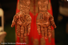 Maharani henna design. indian bride,bridal mehndi,indian bridal henna