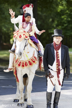 Elegant Indian wedding horse. Elegant Indian wedding horse.