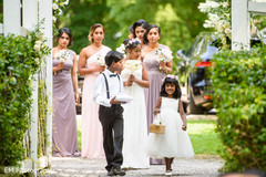 Dreamlike Indian bride's procession. Dreamlike Indian bride's procession.