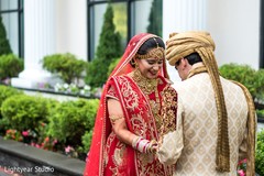 Indian lovebirds first glance. Indian lovebirds first glance.