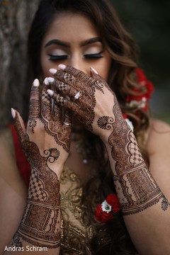 Fabulous indian bride mehndi art Fabulous indian bride mehndi art