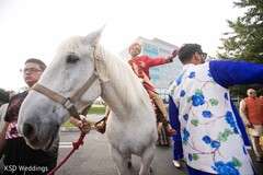 White baraat horse. White baraat horse.