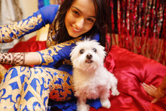 Cutest Indian bride sangeet night portrait. Cutest Indian bride sangeet night portrait.